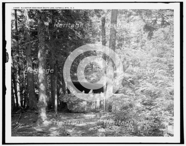Alligator Head near South Lake, Catskill Mts., N.Y., c1902. Creator: Unknown.