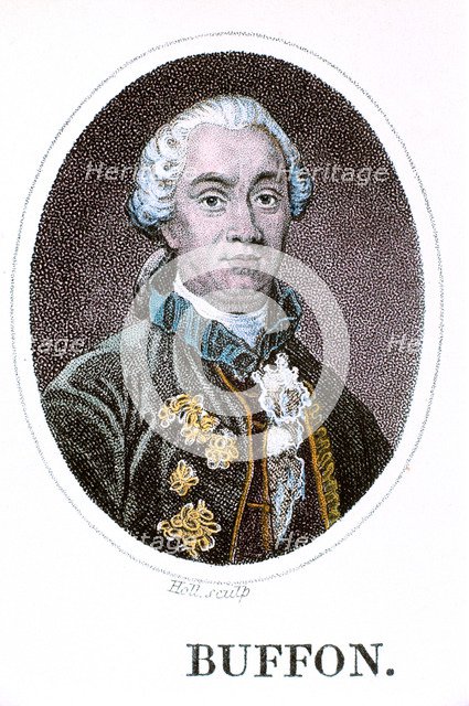 George-Louis Leclerc, Comte de Buffon, French naturalist, 18th century. Artist: Holl