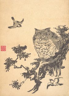 Owl and Two Swallows. Creator: Utagawa Toyohiro.
