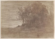 The Woods of the Hermit (Le Bois de l'ermite), 1858. Creator: Jean-Baptiste-Camille Corot.