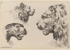 Three Lion Heads, probably 1649. Creator: Stefano della Bella.