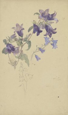 Bluebells. Creator: Wilhelm August Theodor Steinhausen.