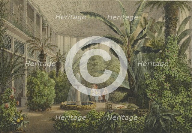 Verkiai Palace. Interior of conservatory, 1847-1852.