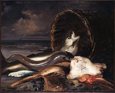 Nature morte aux poissons, Dieppe, 1878. Creator: Jacques Emile Blanche.