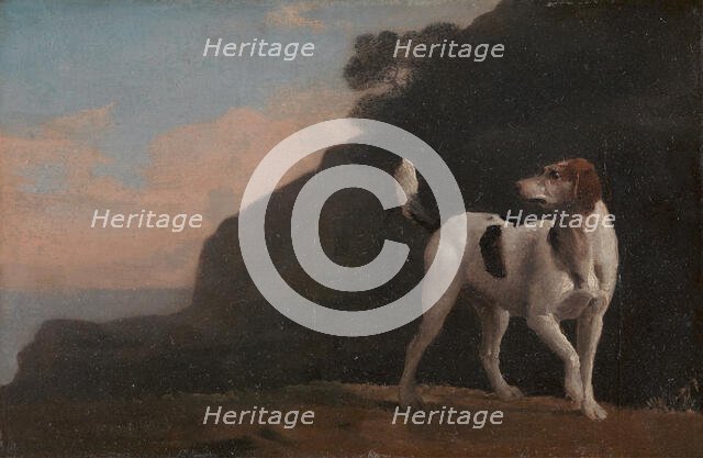 Foxhound;A Foxhound, ca. 1760. Creator: George Stubbs.