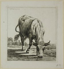 Cow Drinking, from Die Zweite Thierfolge, 1800. Creator: Johann Christian Reinhart.