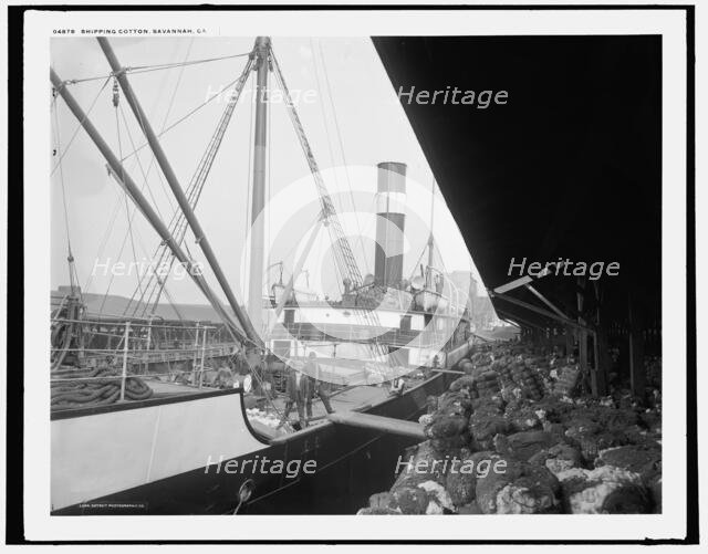 Shipping cotton, Savannah, Ga., between 1890 and 1901. Creator: Unknown.