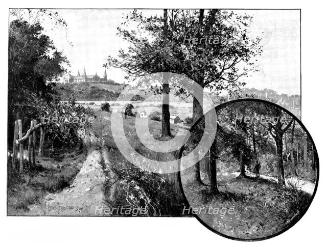 Churchyard Bottom Wood, Highgate, the spoliation of which is under discussion, 1895. Creator: George Meisenbach.