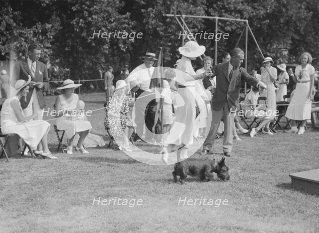 Dog show, East Hampton, Long Island, between 1933 and 1942. Creator: Arnold Genthe.