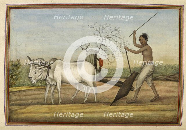 "Jat", a numerous tribe spread over much of north, 1825. Creator: Anon.