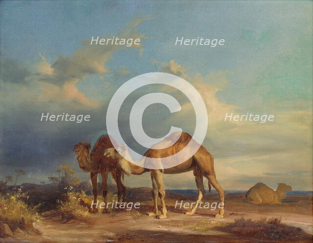 Camels in a southern landscape, 1835-1850. Creator: Karol Marko.