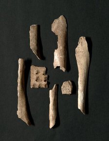 Oracle Bones (76 total), Shang dynasty (about 1600-1046 BC). Creator: Unknown.