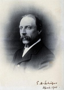 Sir Edward Albert Sharpey-Schafer, 1900. Creator: Unknown.