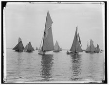 Start, first class, Dorchester regatta, 1888 June 18. Creator: Unknown.
