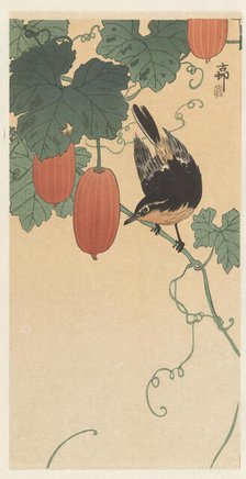 Birds on the Kaki tree, 1920-1930. Creator: Ohara, Koson (1877-1945).