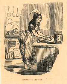 'Domestic Habits', 1897.  Creator: John Leech.