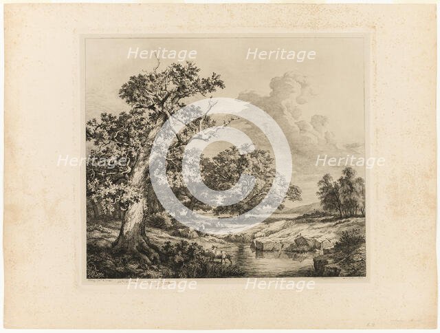 The Old Oak by the Pools at Bellecroix, 1843. Creator: Eugene Blery.