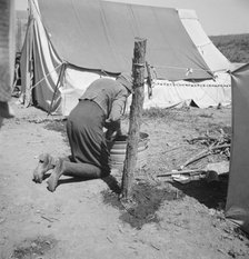 A grandmother washing clothes in California, in a contractor's camp near Westley, California, 1939. Creator: Dorothea Lange.