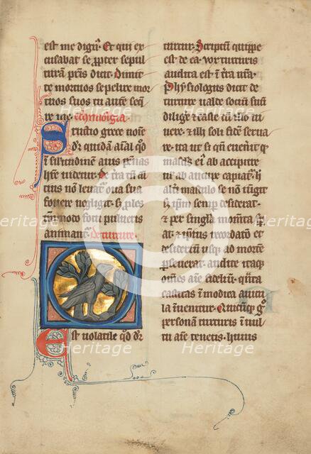 A Turtle Dove; De Natura Avium; De Pastoribus et Ovibus; Bestiarium, 1277 or after. Creator: Unknown.