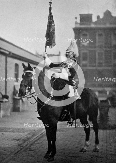 Squadron Corporal Major of the 1st Life Guards with standard, 1896.Artist: Gregory & Co