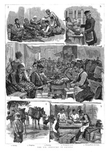 'The Fig industry in Smyrna', 1886.  Creator: Unknown.