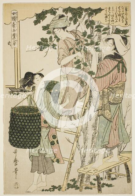 No. 2 (ni), from the series "Women Engaged in the Sericulture Industry (Joshoku kaiko...c.1798/1800. Creator: Kitagawa Utamaro.