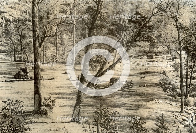 Free selector's hut, Australia, 1879. Artist: McFarlane and Erskine