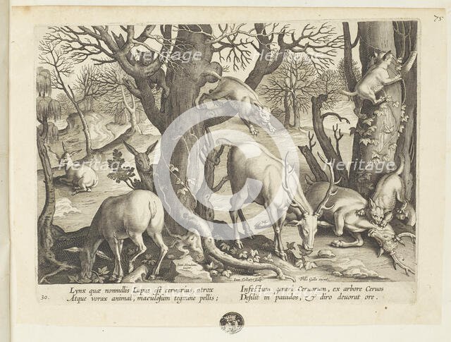 Venationes ferarum, avium, piscium (Hunts of wild animals, birds and fish). Plate 30, 1596. Creator: Hans Collaert the Younger.