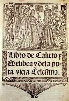 Title page of 'Libro de Calixto y Melibea y la puta vieja Celestina' (Book of Calixto and Melibea…