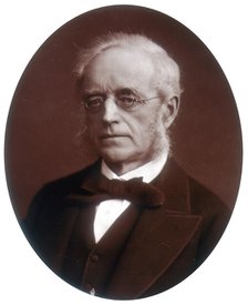 Sir Henry Cotton, Lord Justice of Appeal, 1881. Creator: Lock & Whitfield.