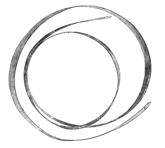 Gold ornaments from the graves of the Incas of Peru - coil of gold worn as a belt or head-band, 1883 Creator: Unknown.