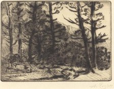Woods in Winter Sun, 2nd plate (Soleil d'hiver dans les bois). Creator: Alphonse Legros.