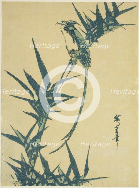 Long-tailed bird and bamboo, n.d. Creator: Ando Hiroshige.