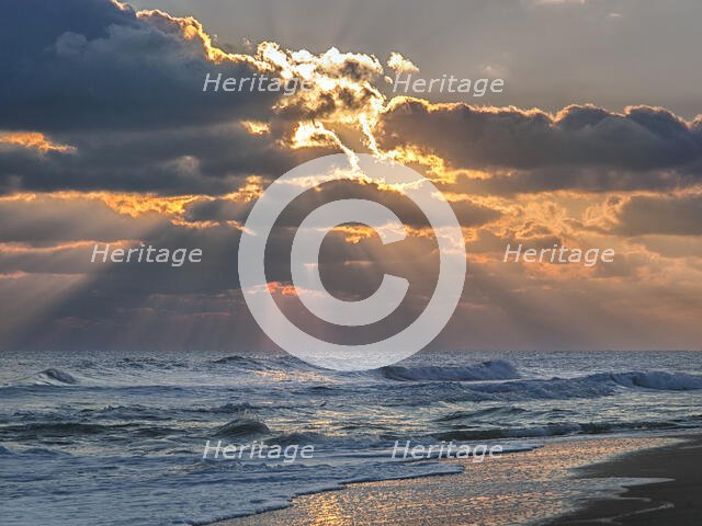 Morning Glorious. Creator: Eve Turek.