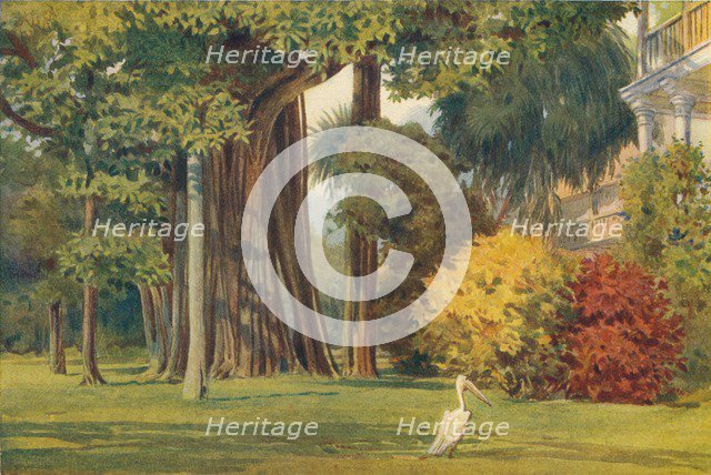 'The Queen's House, Colombo', c1880 (1905). Creator: Alexander Henry Hallam Murray.