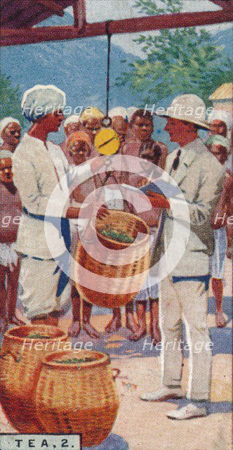 'Tea, 2. - Weighing the Pickings, Ceylon', 1928. Artist: Unknown.
