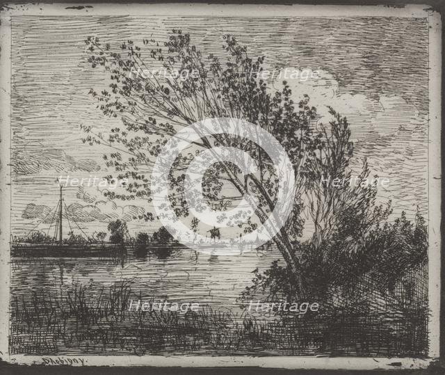 A Cluster of Alders, original impression 1862, printed in 1921. Creator: Charles François Daubigny (French, 1817-1878).