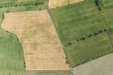 Cropmarks of an Iron Age or Roman field system and settlement near South Duffield, North Yorks, 2022 Creator: Robyn Andrews.