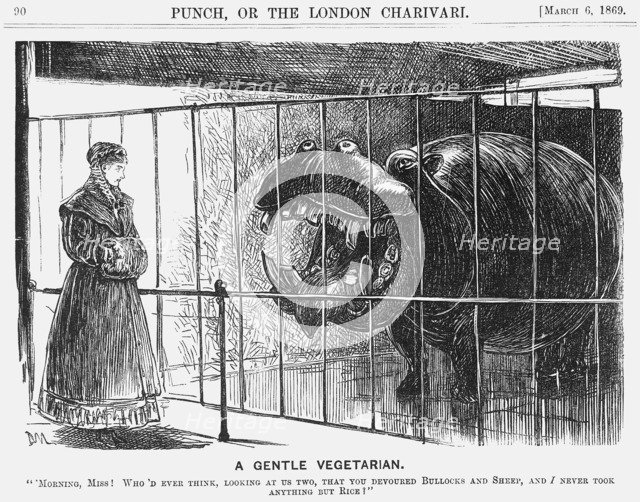 'A Gentle Vegetarian', 1869. Artist: George du Maurier