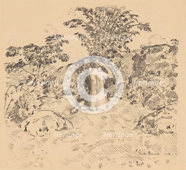 The Wild Cherry Tree, 1918. Creator: Frederick Childe Hassam.