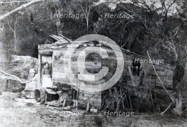Old shack at Balmoral, Mosman, c1910s. Creator: Unknown.