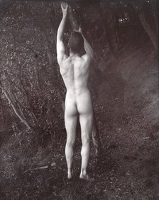 A man posing naked, with his back to the camera, holding on to a branch of a tree, c1900. Creator: Unknown.