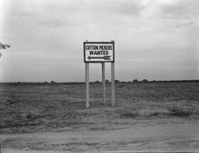 Along U.S. Highway 99, Southern San Joaquin Valley, California, 1936. Creator: Dorothea Lange.