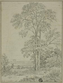 Landscape with Tree, Man, and Cows, August 7, 1765. Creator: George Howland Beaumont.