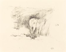Study of a Horse, 1895. Creator: James Abbott McNeill Whistler.