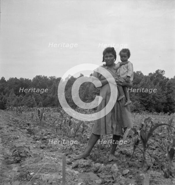 Wife and child of young sharecropper..., Hillside Farm, Person County, North Carolina, 1939. Creator: Dorothea Lange.
