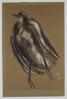 Gull, c1940. Creator: Marsden Hartley.