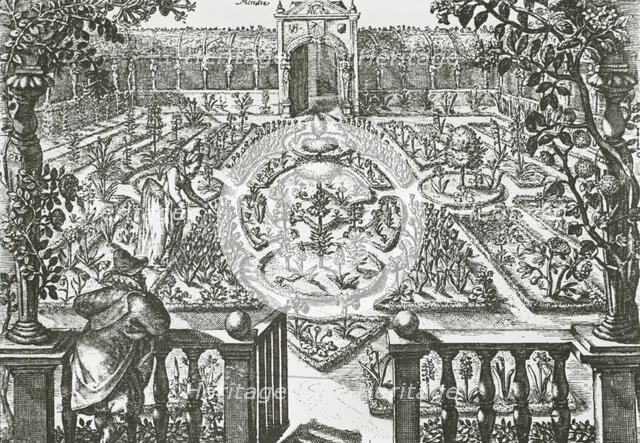 Reproduction of print showing a flower garden, between 1915 and 1925. Creator: Frances Benjamin Johnston.