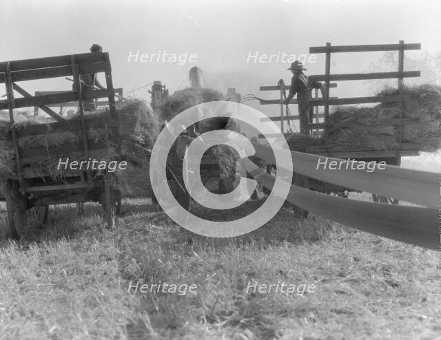 The threshing of oats, Clayton, Indiana, south of Indianapolis, 1936. Creator: Dorothea Lange.