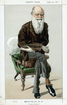 Charles Darwin, English naturalist, 1871. Artist: Unknown